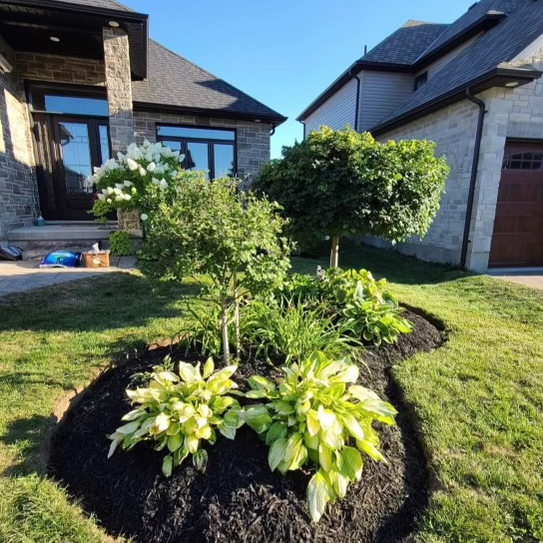 About Brothers Landscaping London