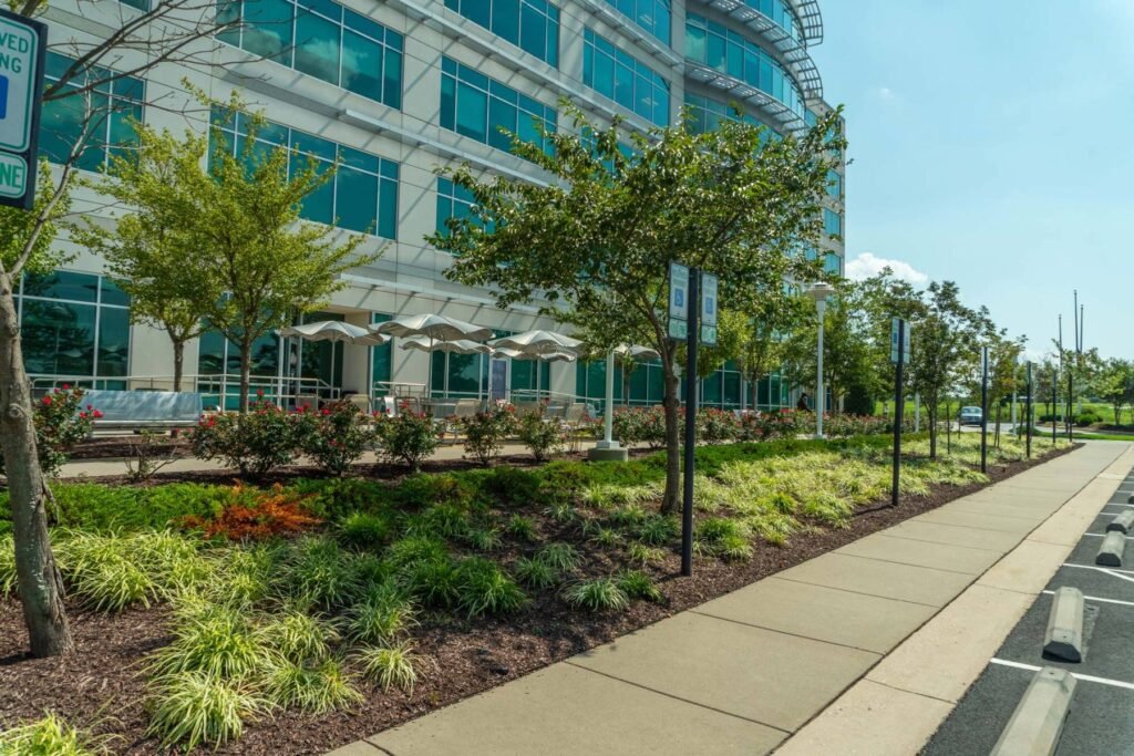 Commercial Landscape in London