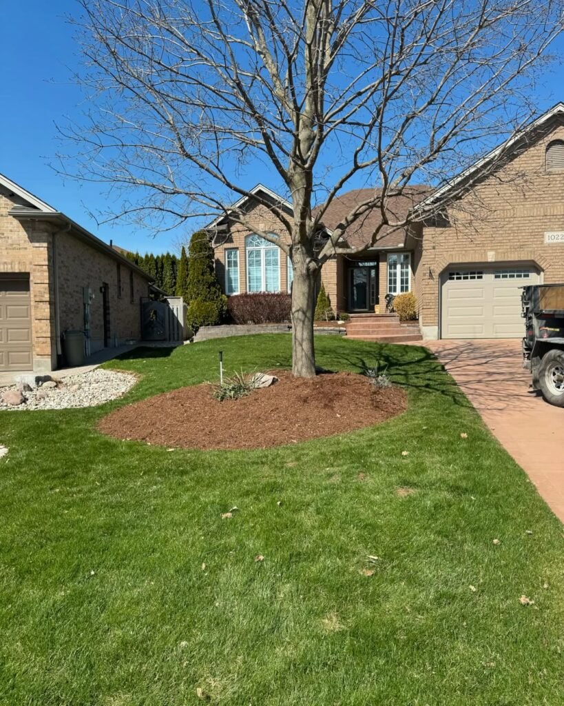 Landscaping Services London Ontario