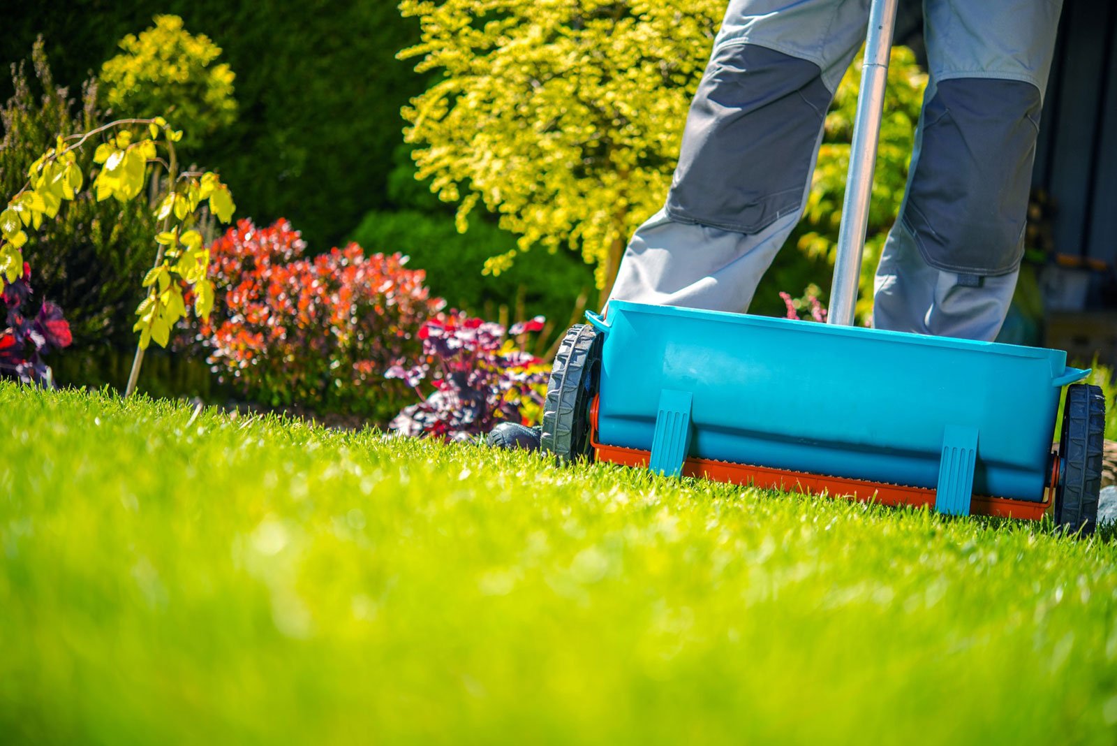 Lawn Fertilization London