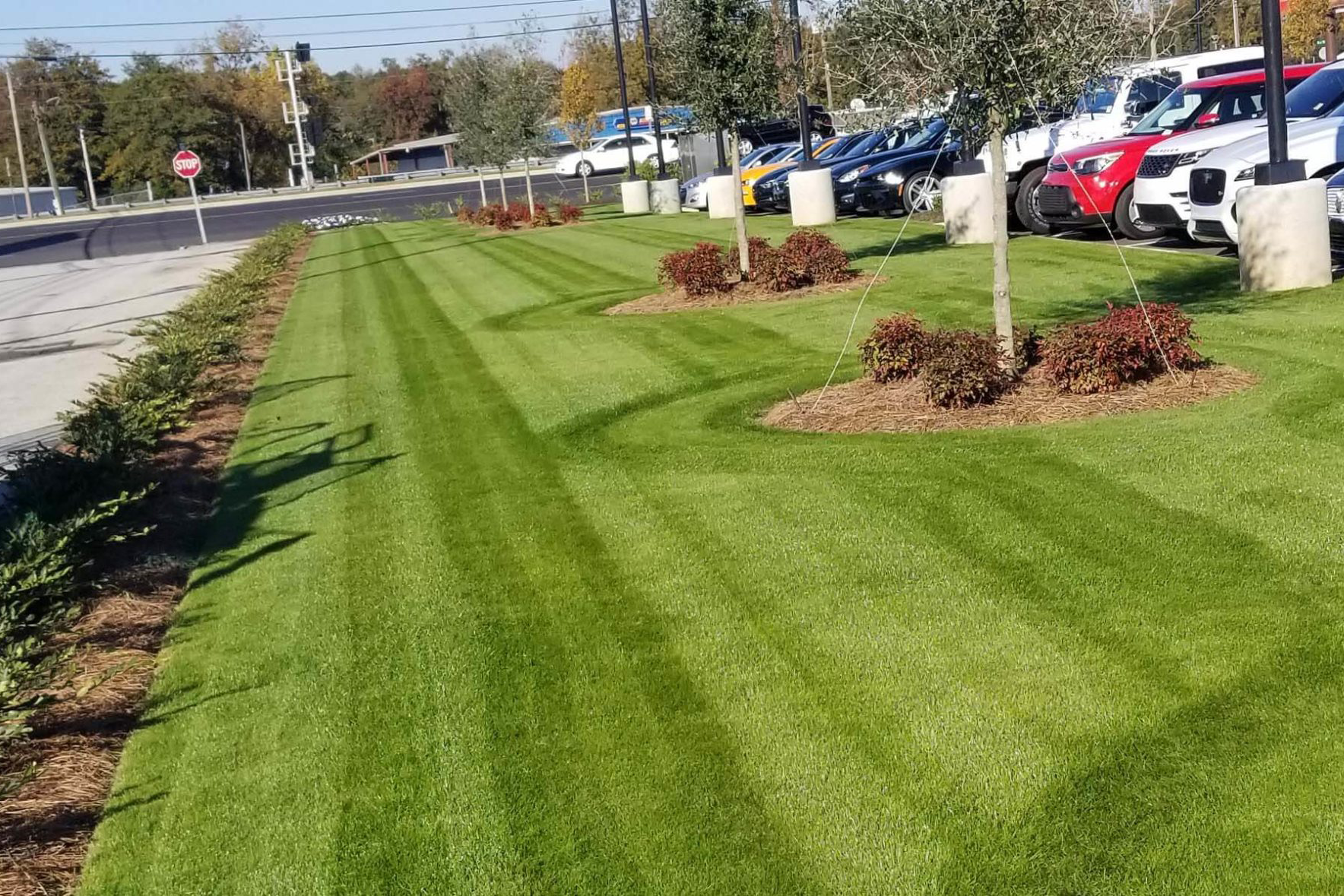 commercial lawn care in london ontario