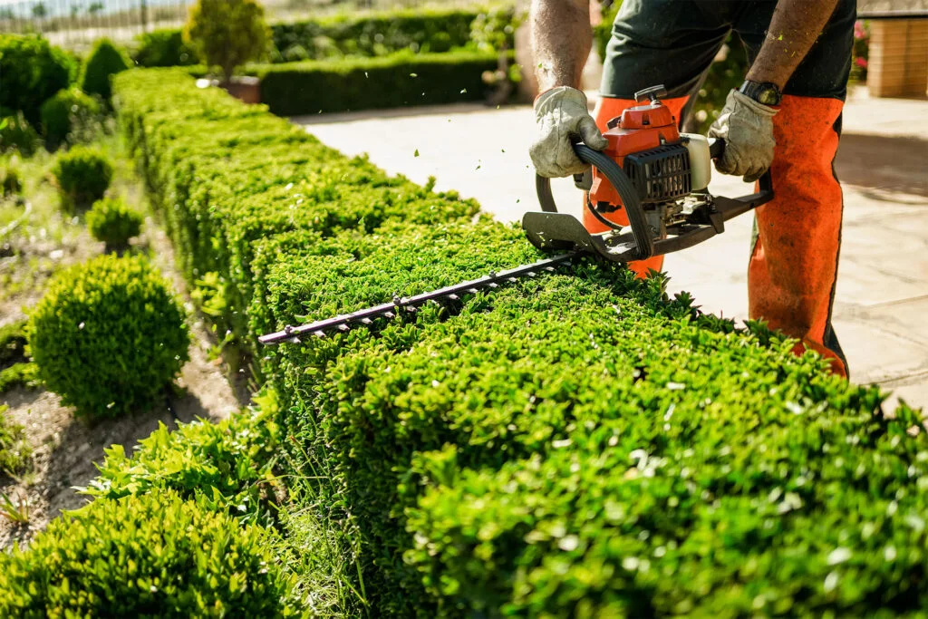 Tree & Shrub Care Slide